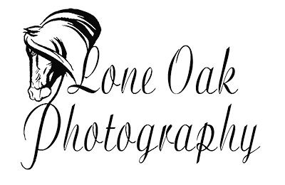 Lone Oak Equine Photography